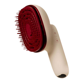 Hair Steamer Pro